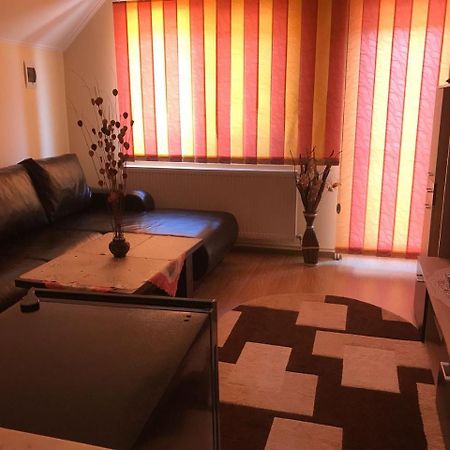 Steluta Villa Călimăneşti Buitenkant foto