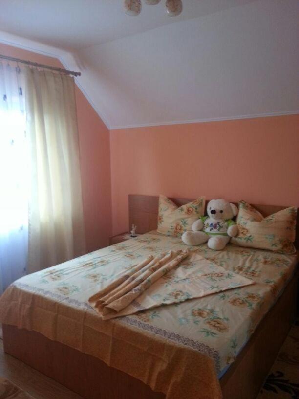 Steluta Villa Călimăneşti Buitenkant foto