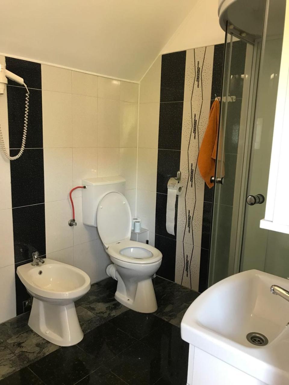Steluta Villa Călimăneşti Buitenkant foto