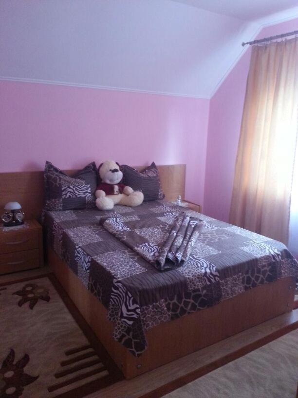 Steluta Villa Călimăneşti Buitenkant foto