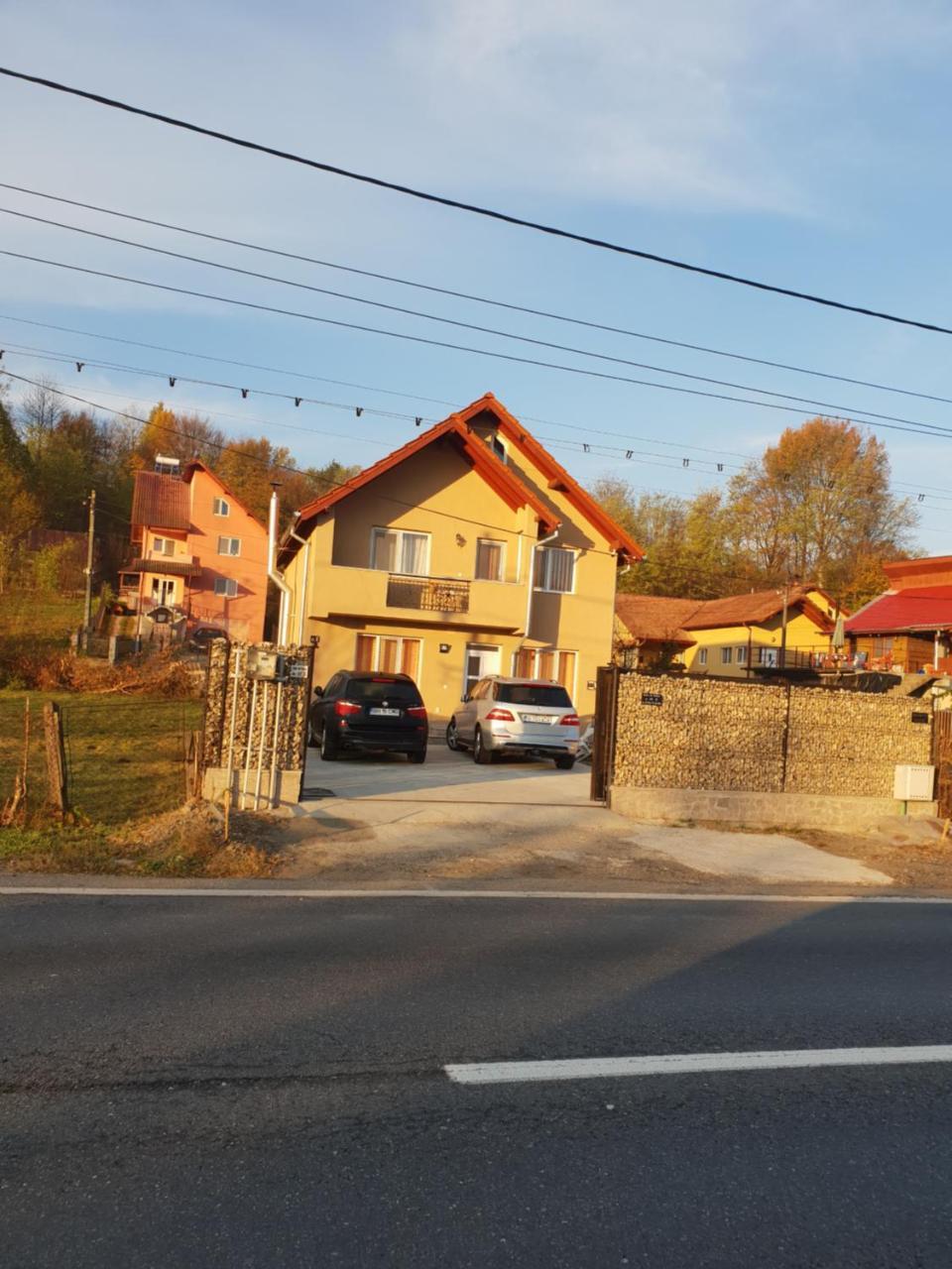 Steluta Villa Călimăneşti Buitenkant foto